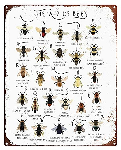 Jessgirl Vintage Blechschilder Küche A-z Of Bienen Druck Arten von Bienen Kunst Alphabet Metallschild Bienen Liebhaber Geschenk Bienen Metallschild 20,3 x 30,5 cm