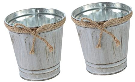 BESPORTBLE 2 Pz Vaso da fiori con secchio di in corda di secchio di fiori vaso zincato spalliera schiena vasi per piante arredamento vegetale fioriera in ferro Metallo lattiera