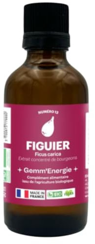 Gemmothérapie sans alcool, extrait concentré de bourgeons BIO noyer juglans regia Gemm'Energie Athanor