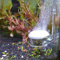 Yagote CO2 Glas Aquarium Zubehör Zubehör CO2-Diffusor CO2 Drop Checker CO2 Bubble Counter Wasserpflanzenhalter Planaria Wurm Leech Trapper für Aquarium bepflanzten Tank, CO2 Diffuser-2inch