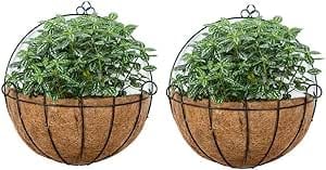 BULZEU Hanging Plant Pot Hanging Baskets Outdoor Iron Wall-Mounted Planter with Chain Hooks for Home Garden Balcony Decor (2 PCS)