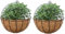 FJROnline Hängepflanzentopf Hängekörbe Outdoor Eisen Wand Pflanzgefäß mit Kettenhaken für Hausgarten Balkon Dekor (A, 2 PCS)