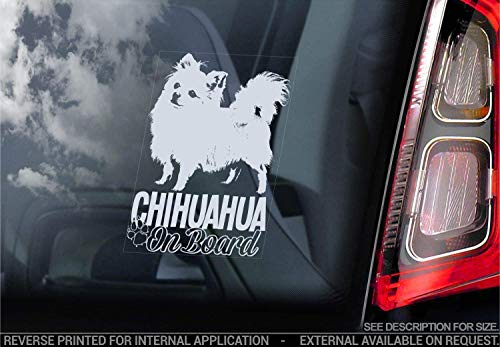 Chihuahua - Auto Sticker - Hund Schild Fenster, Bumper Aufkleber Geschenk - V007 - Weiß/Klar - Externe Außerhalb Aufdruck, 150x100mm