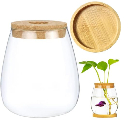 Plant Propagation Station with Lid Water Planting Plant Terrarium Glass Propagation Jars with Bamboo Tray Decorative Fish & Plant Propagation Stations for Home Office, Propagation Stations