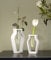 Dekoleidenschaft 2X Vase Amphore aus Porzellan, weiß glänzend, mit Reagenzglas, Blumenvase, Reagenzglasständer, Vasenset, Tischvase, Dekovase, Vasenhalter