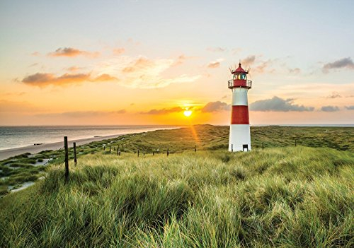 ForWall - Vlies Fototapete Strand Meer Nordsee Gräser Leuchtturm Sonne 312x219 cm - Fototapeten - Tapeten - für Wohnzimmer Schlafzimmer - Vliestapete Wandtapete Tapete 3D Effekt- inkl. Kleister