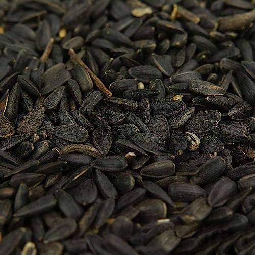 Graines de Tournesol Noir BusyBeaks - Nourriture Riche en Huile pour Oiseaux Sauvages de Jardin occupés (10kg)