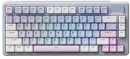 Rapoo V700DIY-75 Wireless Mechanical Keyboard, BT5.0 + 2.4GHz Hot Swappable Custom Gaming Keyboard, Speed Silver Linear Switch, 16.8M Per-Key RGB, Gasket Mount, Creamy Sound, Anti-Ghosting, US Layout