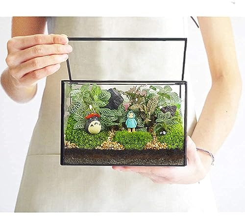 Kleine Pflanzen Terrarium Mit Deckel - Rechteckig, Tischplatte, Glas, Geometrisch, Klar, Pflanzgefäß für Kleines Moos - Schreibtisch-Box, 17 x 9,9 x 11,9 cm