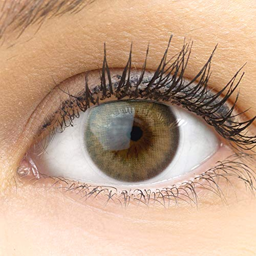 Sehr stark deckende und natürliche beigee Kontaktlinsen SILIKON COMFORT NEUHEIT farbig „Padua Beige“ beige + Behälter von GLAMLENS - 1 Paar (2 Stück) - DIA 14.00 - ohne Stärke 0.00 Dioptrien