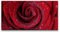 Paul Sinus Leinwandbild 120x60cm Rote Rose Blüte Romantisch Liebe Leidenschaft Wassertropfen
