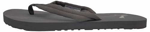 PUMA Unisex Epic Flip V2 Flip-Flop