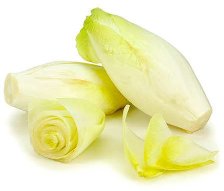 250 Graines d' Endive demi-hâtive - légumes jardin potager - semences paysannes reproductibles - SemiSauvage