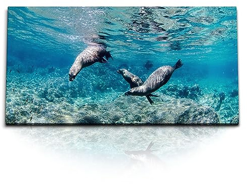 Paul Sinus Kunstdruck Bilder 120x60cm Seehunde unter Wasser Türkis Ozean Tierfotografie