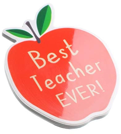 Best Teacher Ever Apple Quote Novelty Magnet