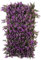 Garden Mile Violet Screening Panel Fence Privacy Screen for Garden Artificial Trellis Living Wall Panel Topiary Expandable Climbing Plant Panel 180x90cm