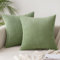 Slozzi 2er Set Kordsamt Kissenbezug Bohnengrün 45x45cm Kissenbezüge Kissenhülle Sofakissen Dekokissenbezug Couchkissen Weich für Sofa Schlafzimmer Wohnzimmer Balkon