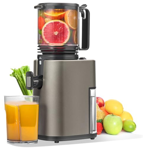MAISON HUIS Estrattore Frutta e Verdura, Slow Juicer con 13,5cm Extra Grande Contenitore per Frutta e Verdura Intera, Facile da Pulire (Matt Grigio)