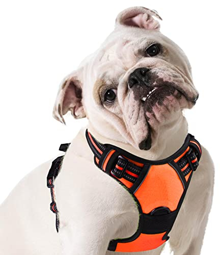 Eagloo Hundegeschirr mittelgroße Hunde, Anti Zug Hundegeschirr mit Reflexstreifen und Kontrolle, Verstellbar, Einstellbar und Langlebige Brustgeschirr Hund, Geeignet zum Gehen und Joggen, Orange, M