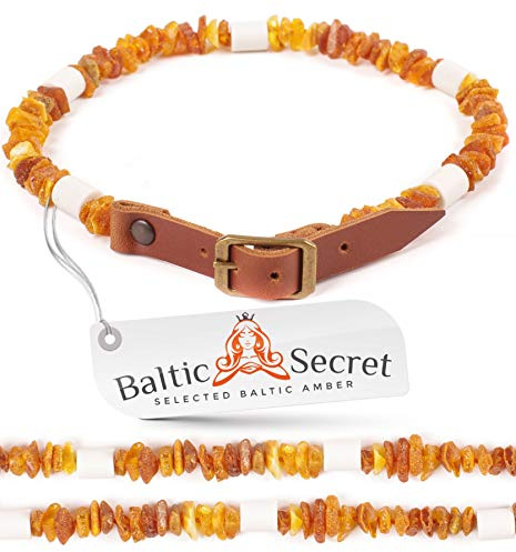 Bernsteinkette Hund mit EM Keramik Pipes - Effektive MIKROORGANISMEN - Bernsteinhalsband Hunde - Bernstein (25-30 cm)