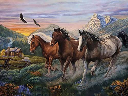 Hoobee 5D Diamond Painting Complet Cheval Collines, DIY Peinture Broderie Diamant Painting Rond Kits Libre Animal Au Point De Croix Mosaïque Strass Décoration De La Maison 30x40 cm