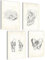 Mojoliving Anatomie Skelett Poster Set - Vintage Bilder für Schlafzimmer, Aesthetic Room Decor und Fitness - Modell Deko