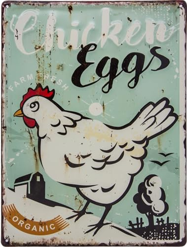 LuckyLinde Cartel de Chapa con Relieve Retro Vintage, Grande, 40 x 30 cm, Huevos de gallina orgánicos, gallinero, Cartel de Granja