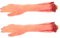 TOYANDONA 2Pièces Accessoires Halloween Fausses Cassées Horribles pour Décor de Fête Prop de Cosplay