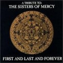 First & Last & Forever