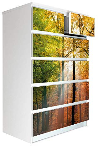 banjado® Möbelfolie selbstklebend für die IKEA Malm Kommode 6 Schubladen - Schrankfolien selbstklebend mit Motiv Herbstwald/Möbelfolie Malm für Kinder
