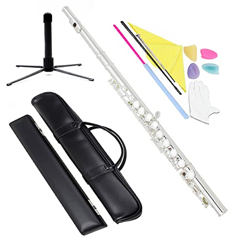 Flöteninstrument 16-Loch-C-Key-Flöteninstrument Mit Koffer, Rucksack, Reinigungsstäbchen, Wischhandschuhen, Flötenzubehör Professionelles Querflöten (Color : 04)