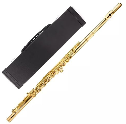 BBAUER flute a bec flute irlandaise flute enfantFlûte traversière française plaquée or à double usage, 16/17 trous, clé en C(Color:Open/Closed hole 17)