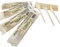 Set Compostable Cuchillo, Tenedor, Cuchara y Servilleta (50uds)