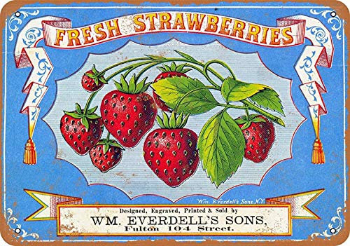 Anjoes Vintage Retro 20,3 x 30,5 cm Schild 1868 Frische Erdbeeren Beeren Lustiges Obst Gemüse Essen süßer Sommer Wanddekoration Heim-Dekor Novlety Blechschild