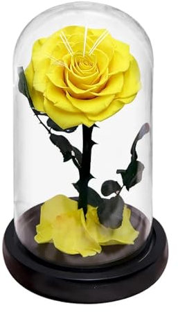 DANETI Rose éternelle préservée dans un dôme en verre avec 5 têtes de fleurs - Cadeau de mariage pour femme et petite amie - Rose jaune