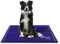 BEEWAY kühlmatte für Hunde, Kratzfeste aluminiumfolien Material, Kühlmatte für Haustiere, Gelpad für Hunde und Katzen im heißen Sommer – 65x48 cm