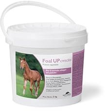 NBF Lanes | Foal Up Wachstum - Futter für die normale Entwicklung des Fohlen mit Glucosamin und essentiellen Vitaminen