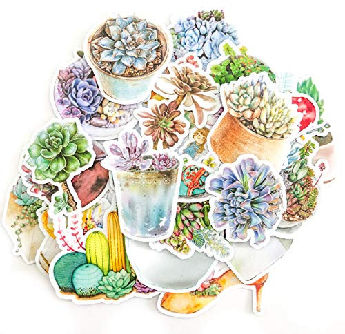 Navy Peony Aquarell Terrarium und Sekkulente Sticker Set | kleine wasserdichte Sticker für Laptop, Skateboards und Handyhüllen | süße Sticker für Scrapbooking, Tagebuch, Planer und Zeitung (25 Stück)