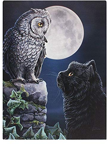 Lisa Parker Leinwandbild Purrfect Wisdom, Motiv Eule und Katze (EinheitsgrÃŸe) (Bunt)
