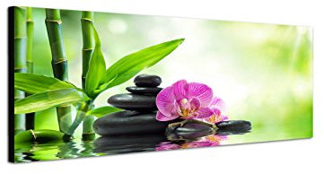 Sinus Art Wandbild 150x50cm Orchidee Bambus Wasser Steine Sonnenlicht