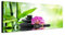 Sinus Art Wandbild 150x50cm Orchidee Bambus Wasser Steine Sonnenlicht