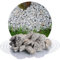 Schicker Mineral Granit Ziersplitt grau 25 kg, ideal zur Gartengestaltung, Salz und Pfeffer Granit Naturstein, Splitt, robust, witterungsbeständig, Steingarten, Weg-, Terrassengestaltung (16-32 mm)