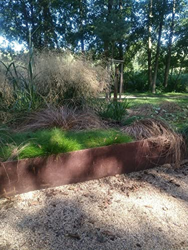 Corten Lot de 10 bordures de pelouse 18 cm de haut