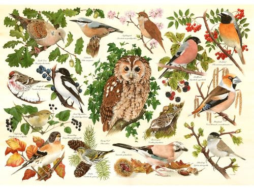 The House of Puzzles - Großes Puzzle mit 500 Teilen - Woodland Birds