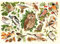 The House of Puzzles - Woodland Birds Jigsaw - Big 500 Piece Jigsaws For Adults, Extra Large Pieces, Artist Illustrated, Scenic Landscape, Deluxe Puzzle Gifts