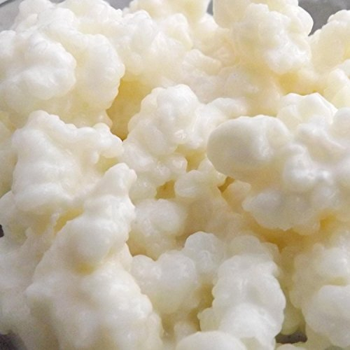 ® 10g UKAS LAB Tested Large portion of Certified Organic Kefir Grains for Goats milk, Coconut, Oats, Hazelnut, Soy and other non dairy by Kombuchaorganic®