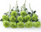 Laelfe 12 Stück Grün Künstliche Rosen, 21in Realistische Langstielige Kunstblumen Rosen, Künstliche Blumen Seide Kunstrose für St Patricks Day Hochzeitsdeko Heiratsantrag Geburtstag Büro