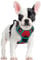 rabbitgoo Dog Harness Small Dog No Pull Pet Harness with 2 Leash Clips, Adjustable Soft Padded Pet Vest, Reflective No-Choke with Easy Control Handle for Training or Walking, Red Teal, S