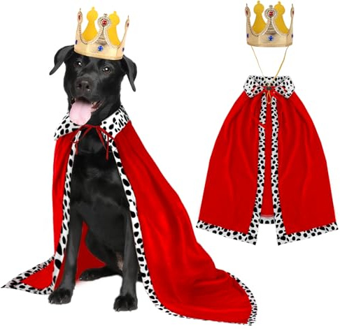 RANYPET Costume da re per cani, costume di Halloween per cani, mantello con corona, per cani di taglia media e grande, costume da principe regina principe e principessa, cosplay, per feste di