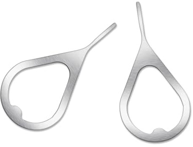 LIXSAZSE Card Pin Small Tip Ring Hole Smooth Lightweight Tray Ejector Insert Long Cards Needles Replacement for Phone Home, Silver 2